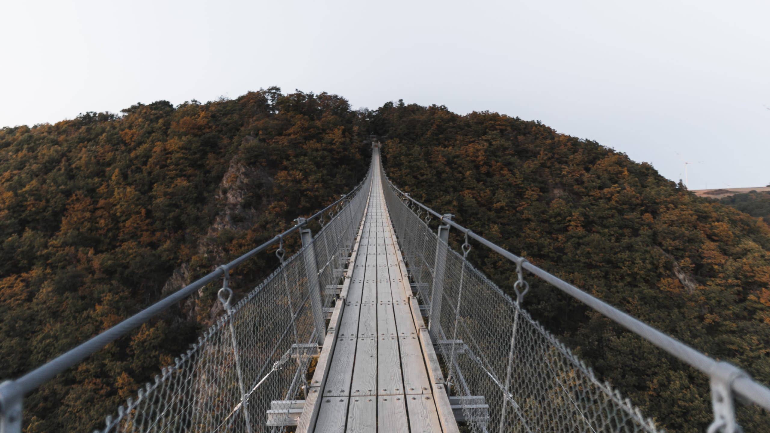 Geierlay Suspension Bridge - Destary
