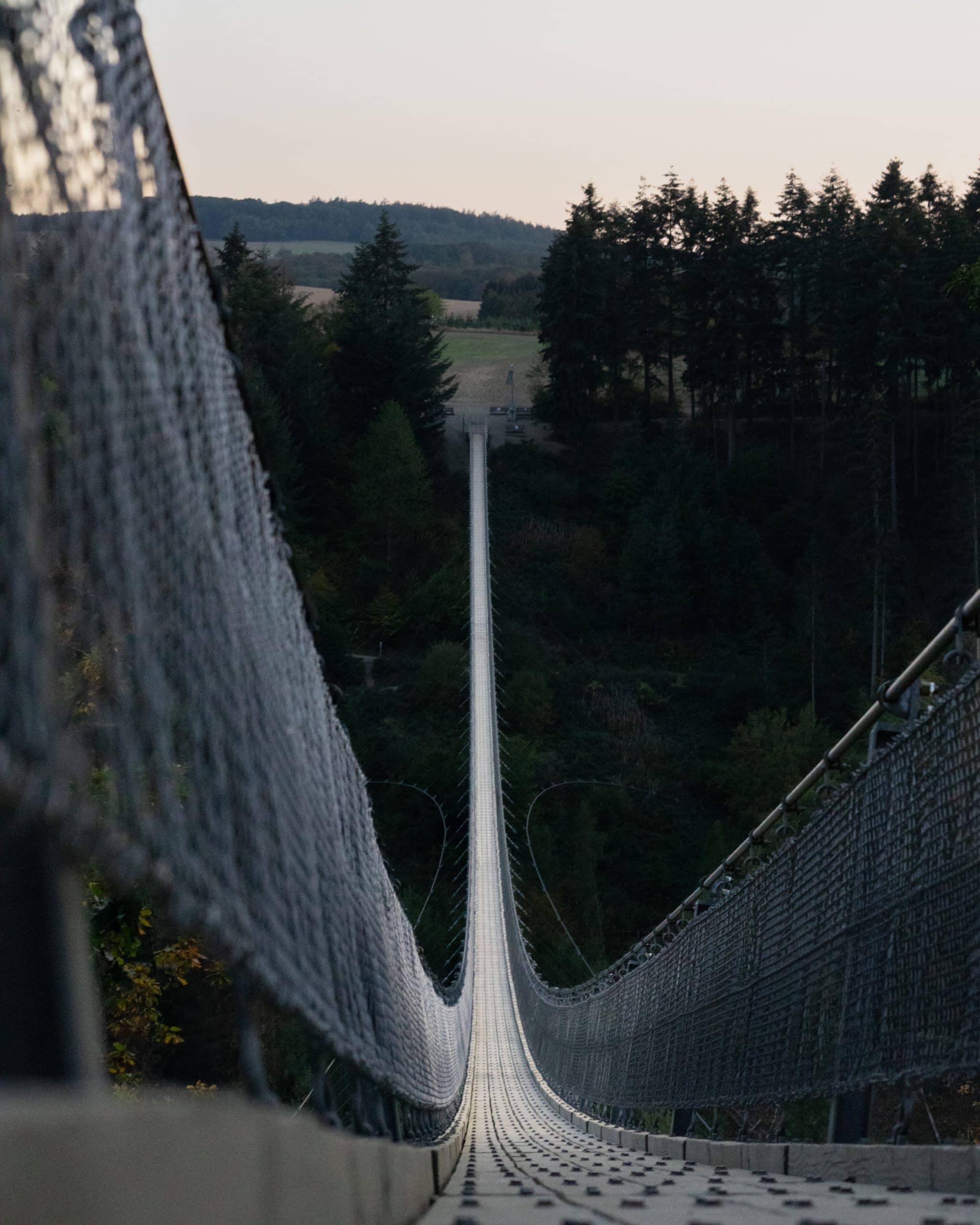 Geierlay Suspension Bridge - Destary